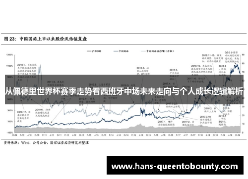 从佩德里世界杯赛季走势看西班牙中场未来走向与个人成长逻辑解析